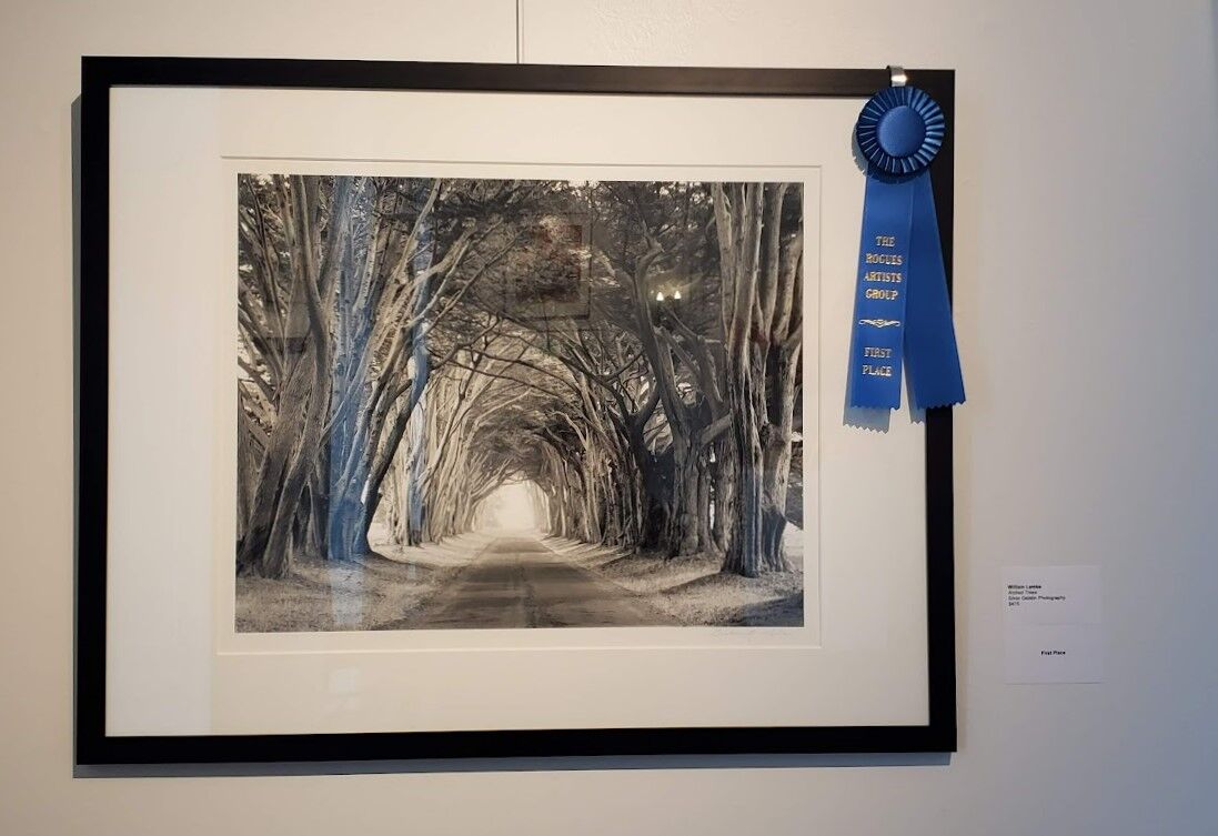 ROGUES RECEPTION AT ANDERSON - William Lemke-Arched Trees first place